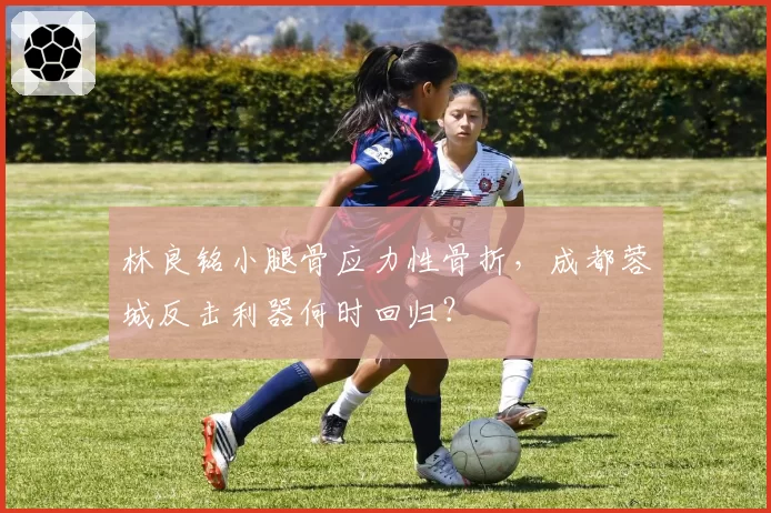 林良铭小腿骨应力性骨折，成都蓉城反击利器何时回归？
