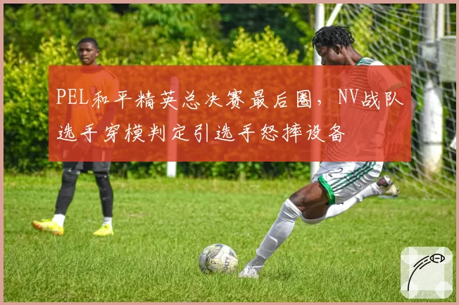 PEL和平精英总决赛最后圈，NV战队选手穿模判定引选手怒摔设备